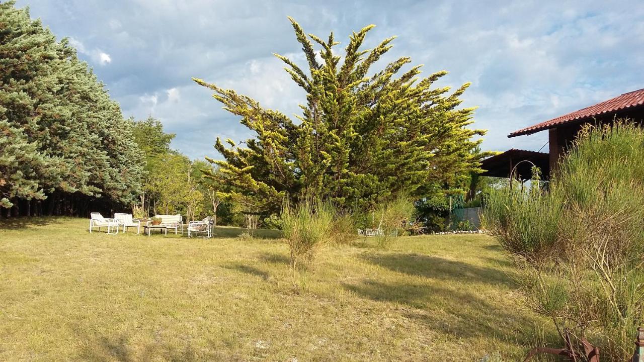 פוליניו Chalet Ricciano מראה חיצוני תמונה