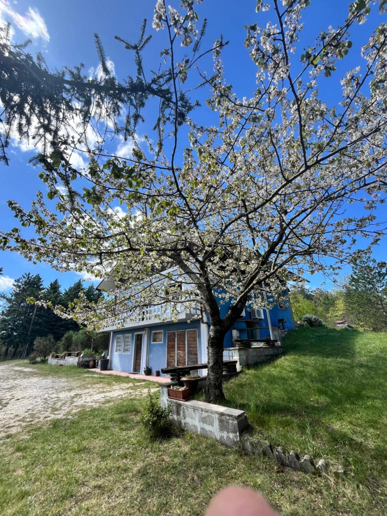 פוליניו Chalet Ricciano מראה חיצוני תמונה