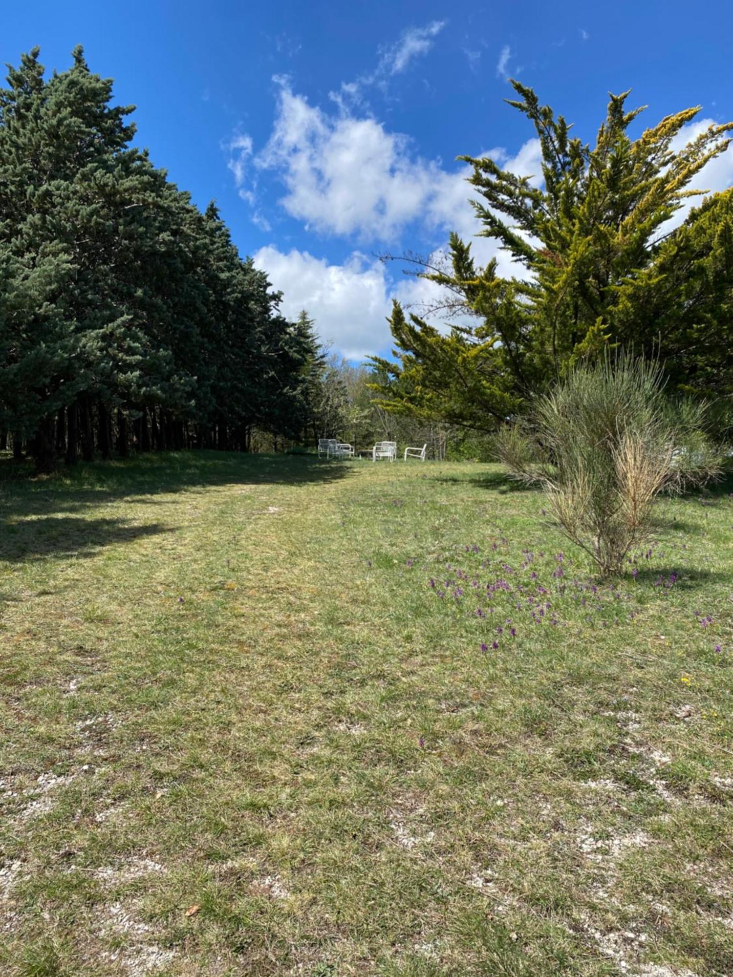 פוליניו Chalet Ricciano מראה חיצוני תמונה