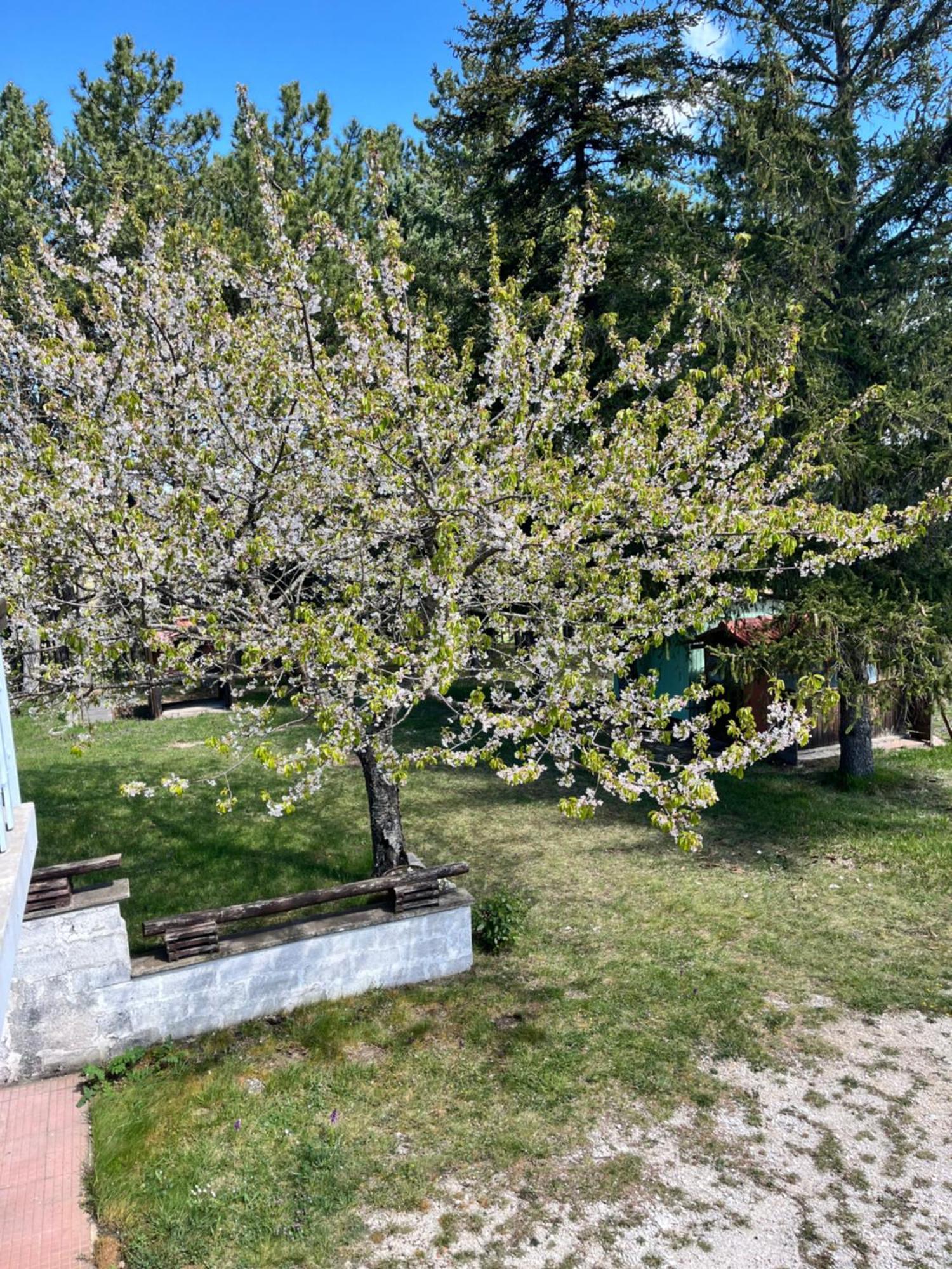 פוליניו Chalet Ricciano מראה חיצוני תמונה